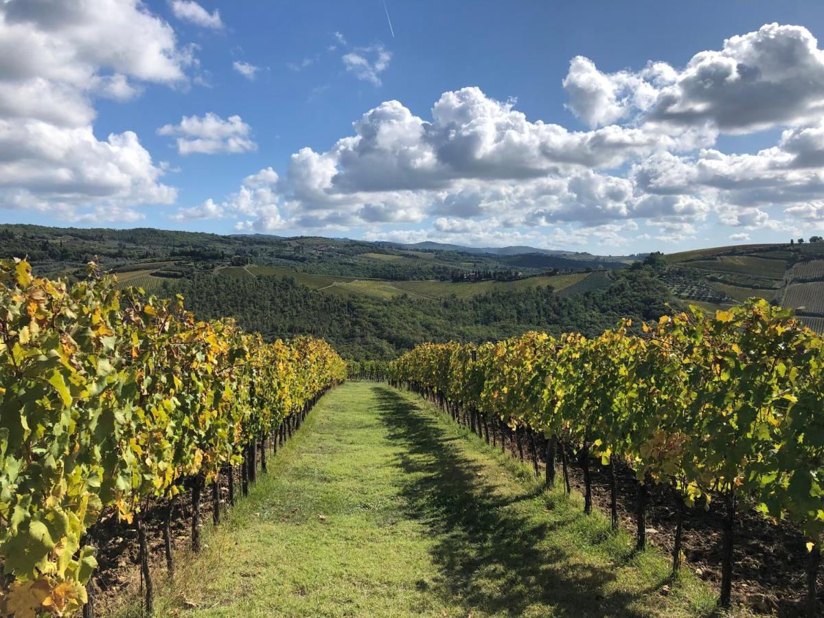 Fattoria Di Rignana Winery Bnb Greve in Chianti Zewnętrze zdjęcie
